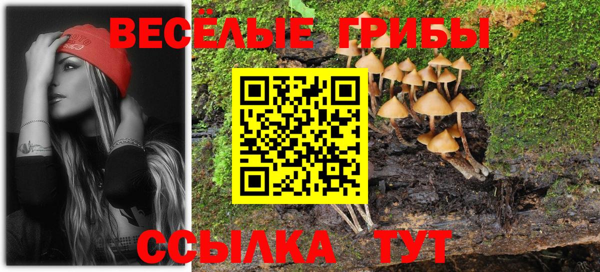 Галлюциногенные грибы прущие грибы Кузнецк
